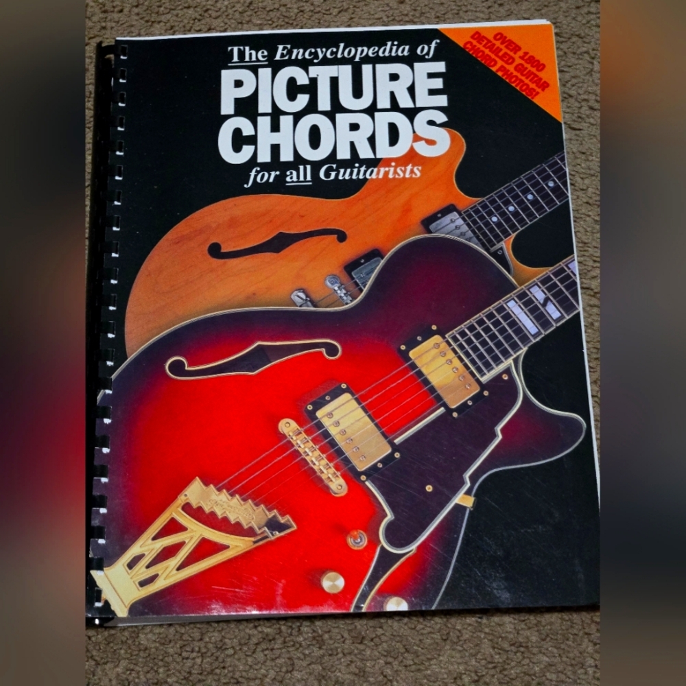 Learn Guitar Book & 19 picks